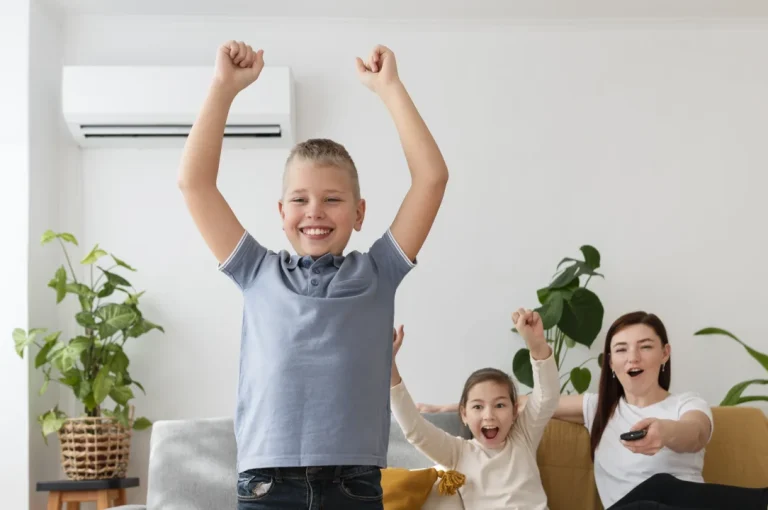 Read more about the article Klima Seçerken Nelere Dikkat Etmelisiniz?