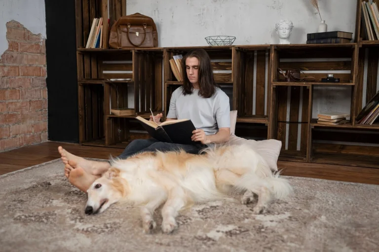 Read more about the article Evcil Hayvanlarınız İçin Klima Kullanımı